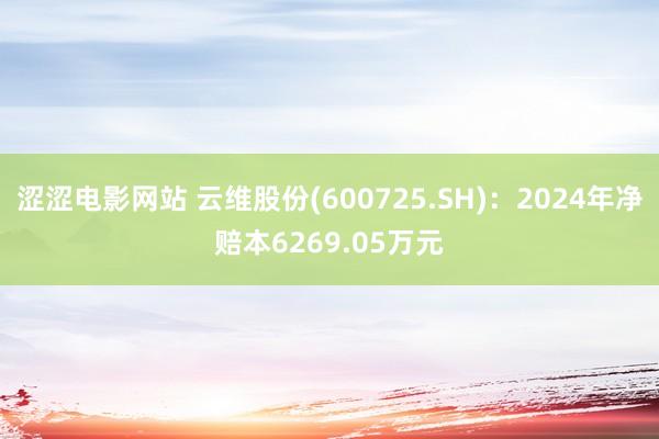 涩涩电影网站 云维股份(600725.SH)：2024年净赔本6269.05万元