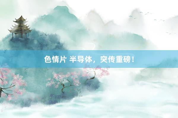 色情片 半导体，突传重磅！