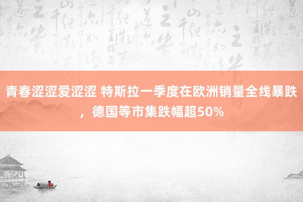 青春涩涩爱涩涩 特斯拉一季度在欧洲销量全线暴跌，德国等市集跌幅超50%