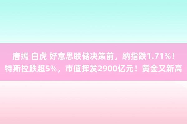 唐嫣 白虎 好意思联储决策前，纳指跌1.71%！特斯拉跌超5%，市值挥发2900亿元！黄金又新高