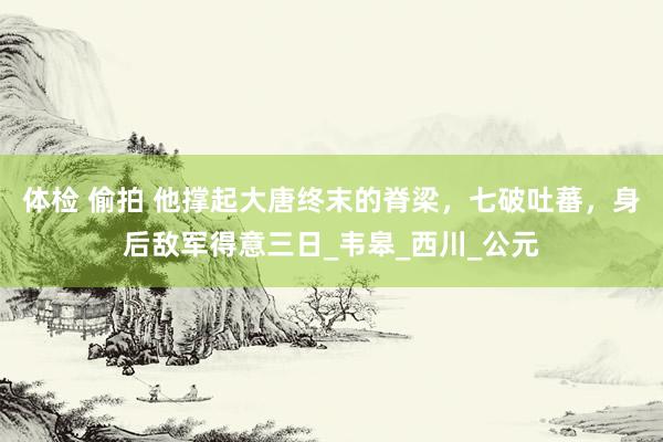 体检 偷拍 他撑起大唐终末的脊梁，七破吐蕃，身后敌军得意三日_韦皋_西川_公元