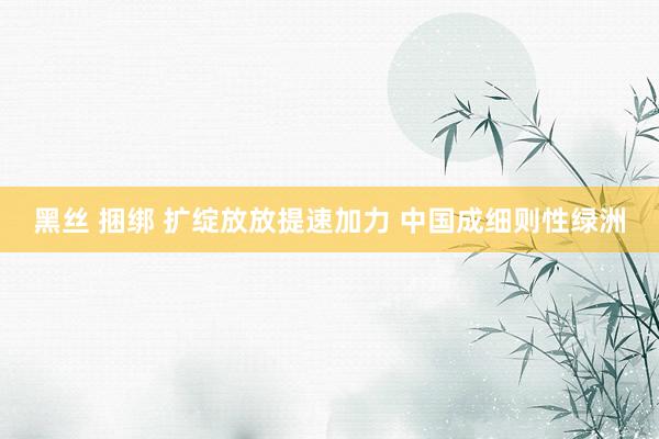 黑丝 捆绑 扩绽放放提速加力 中国成细则性绿洲