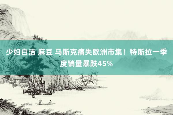 少妇白洁 麻豆 马斯克痛失欧洲市集！特斯拉一季度销量暴跌45%