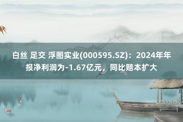 白丝 足交 浮图实业(000595.SZ)：2024年年报净利润为-1.67亿元，同比赔本扩大