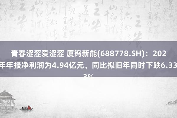 青春涩涩爱涩涩 厦钨新能(688778.SH)：2024年年报净利润为4.94亿元、同比拟旧年同时下跌6.33%