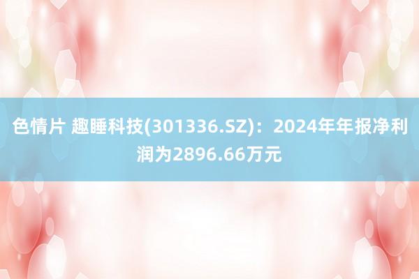色情片 趣睡科技(301336.SZ)：2024年年报净利润为2896.66万元