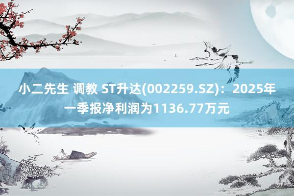 小二先生 调教 ST升达(002259.SZ)：2025年一季报净利润为1136.77万元