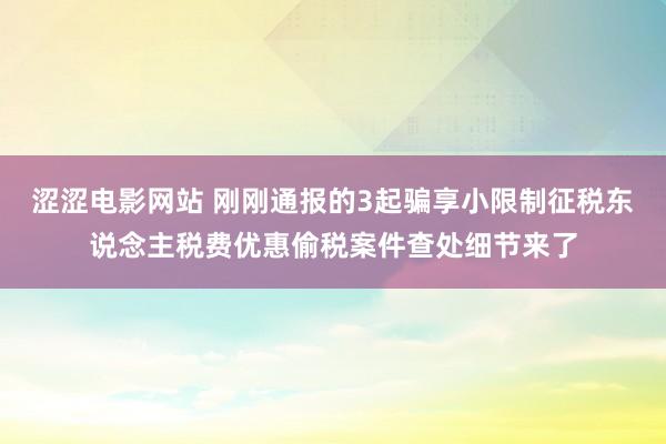 涩涩电影网站 刚刚通报的3起骗享小限制征税东说念主税费优惠偷税案件查处细节来了