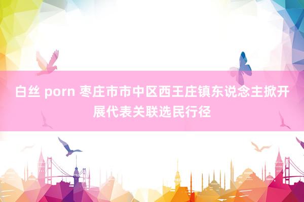 白丝 porn 枣庄市市中区西王庄镇东说念主掀开展代表关联选民行径