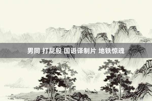 男同 打屁股 国语译制片 地铁惊魂